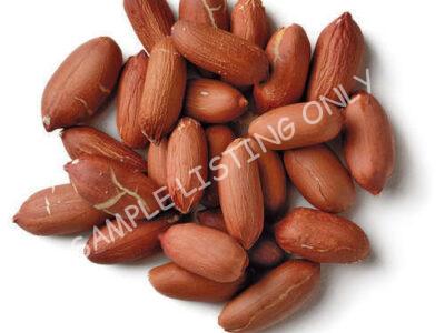 Raw Central African Republic Groundnuts